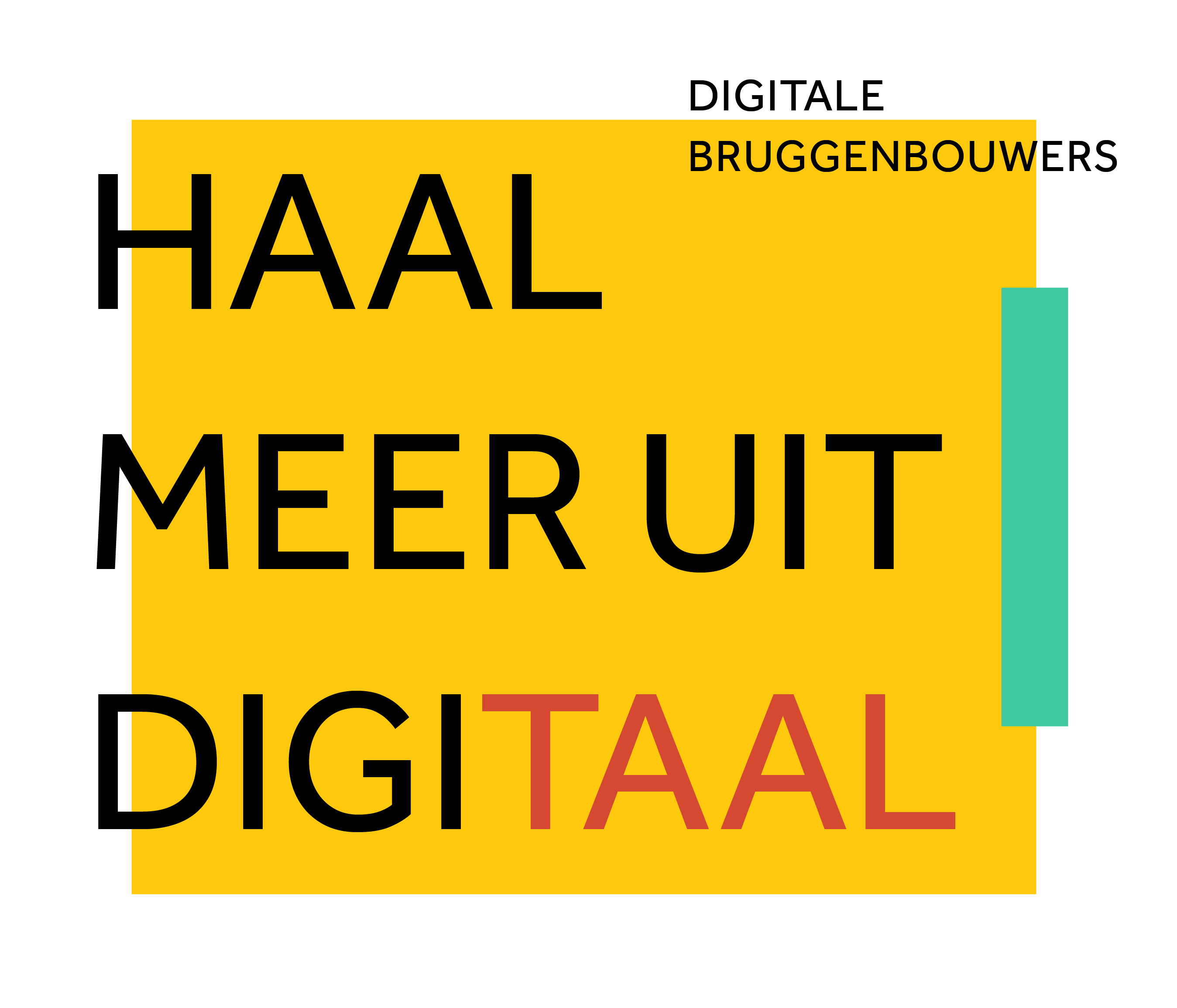 Digitale Bruggenbouwers
